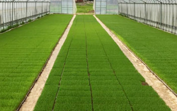 徹底した管理を行うハウス 徹底した管理を行うハウス