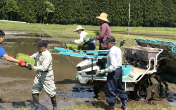しおざわ阿部農園