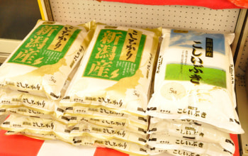 袖山商店自慢の栽培米、新潟の誇るブランド米である、『コシヒカリ』と『こしいぶき』