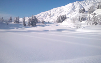 日本有数の積雪量を誇る魚沼市大倉地区 日本有数の積雪量を誇る魚沼市大倉地区