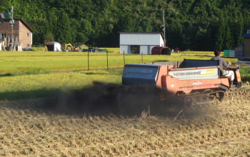 お米の炭を撒いて土壌改善
