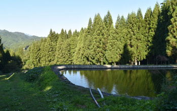 うるめっこ組合