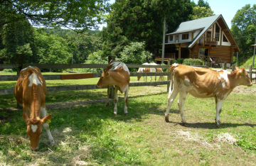 加勢牧場