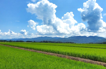 山口松兵衛農園
