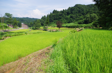 ぬながわ村農園
