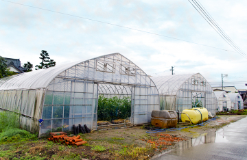 馬場農園