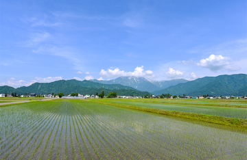 雪国魚沼山家農園