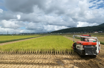 三十六 長谷川農園