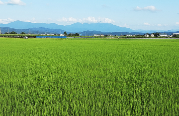 織原農園