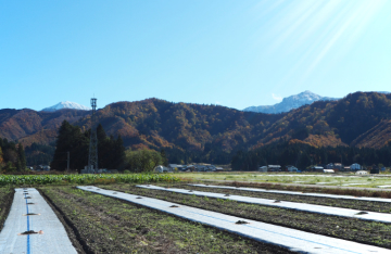 和田農場