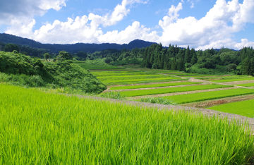 志田農園