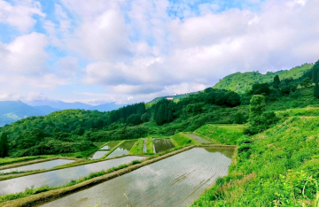 栃窪日熊農園