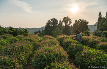 まつのやま茶倉