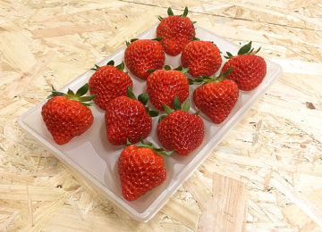 「家庭用簡易包装」梱包イメージ