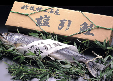 村上名産 塩引き鮭 – 小針水産