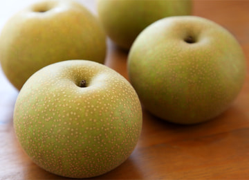 新潟県産 梨 – 亀田観光ブルーベリー園