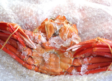 1尾ずつ丁寧にお包みしてお届です