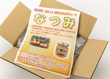 商品紹介のリーフレット付