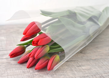 商品イメージ(赤)