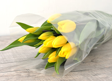 商品イメージ(黄)