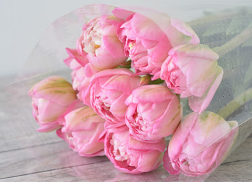 商品イメージ(八重咲き)