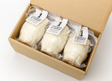 梱包イメージ(6パック入り)