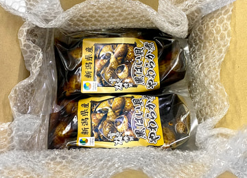 梱包イメージ(2パック入)