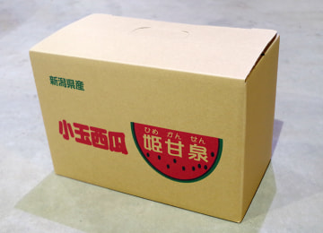 梱包イメージ(2玉入)