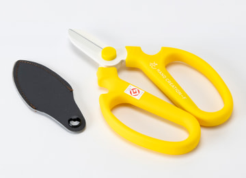 商品イメージ(ケース付)