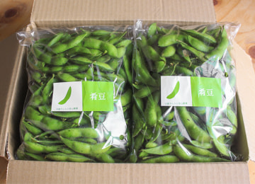 梱包イメージ(肴豆)