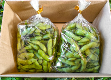 梱包イメージ(世界一)