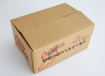 梱包イメージ