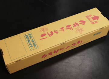 梱包イメージ