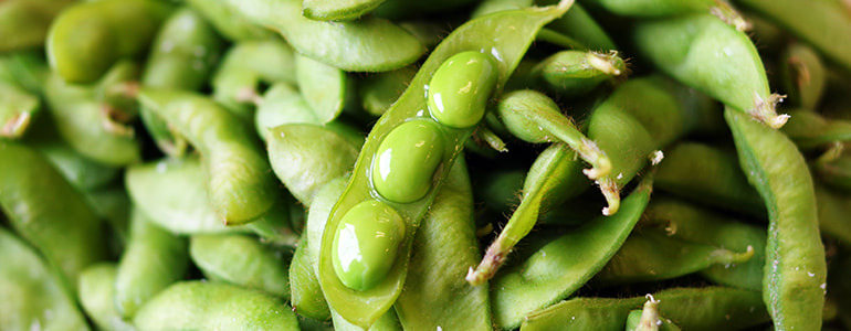 枝豆・茶豆