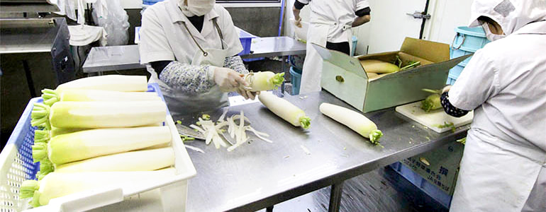 農産物加工・漬物製造