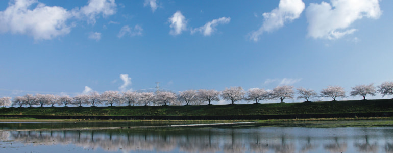 聖籠町