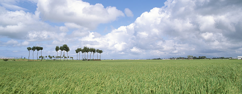 新潟市西蒲区