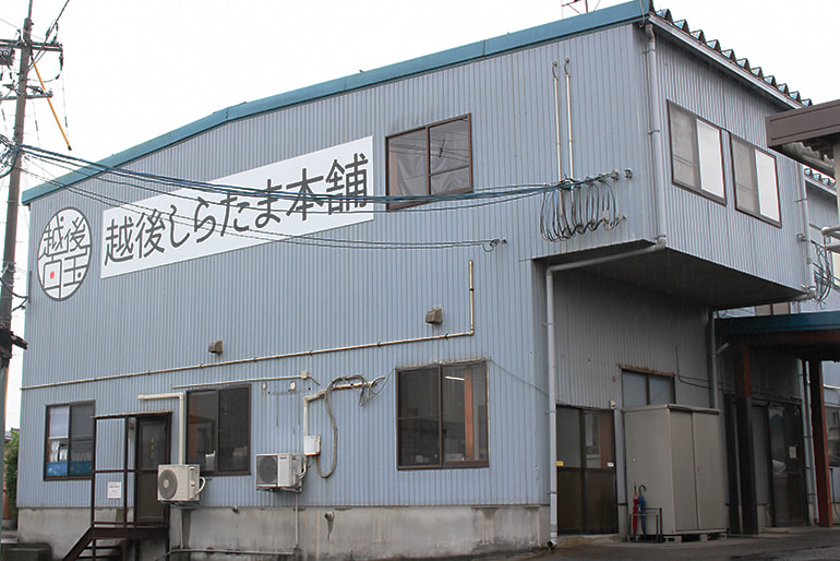 越後しらたま本舗