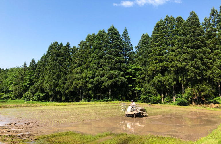 未来ファーム板山