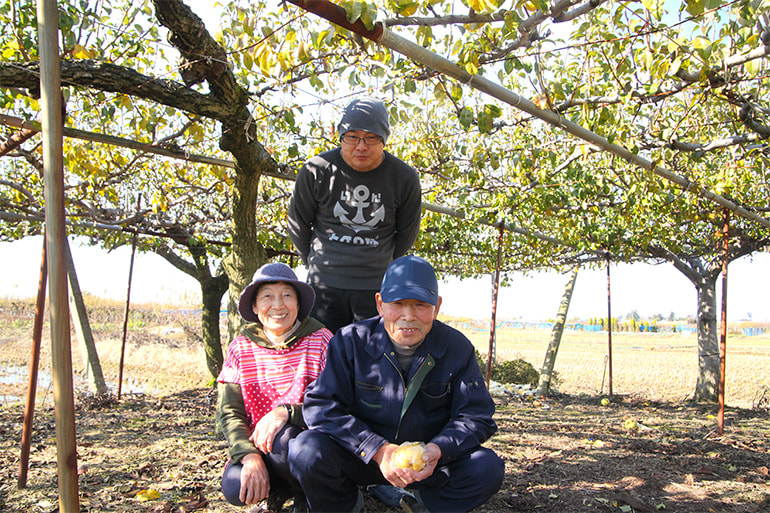 亀田観光ブルーベリー園