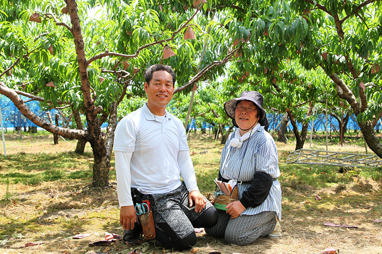 くだもの屋にへじ