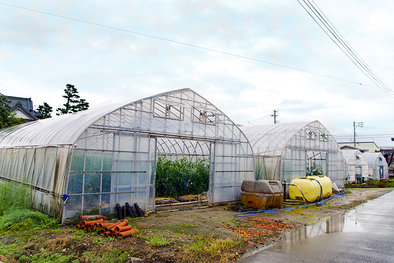 馬場農園