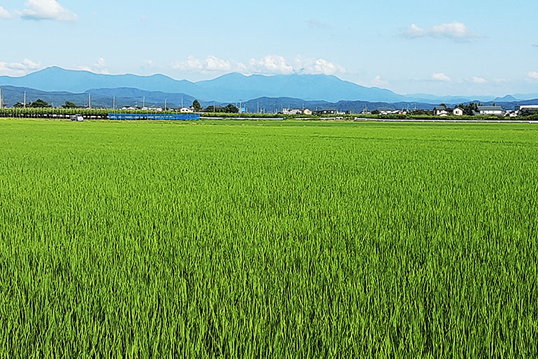 織原農園