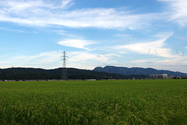 田村農産