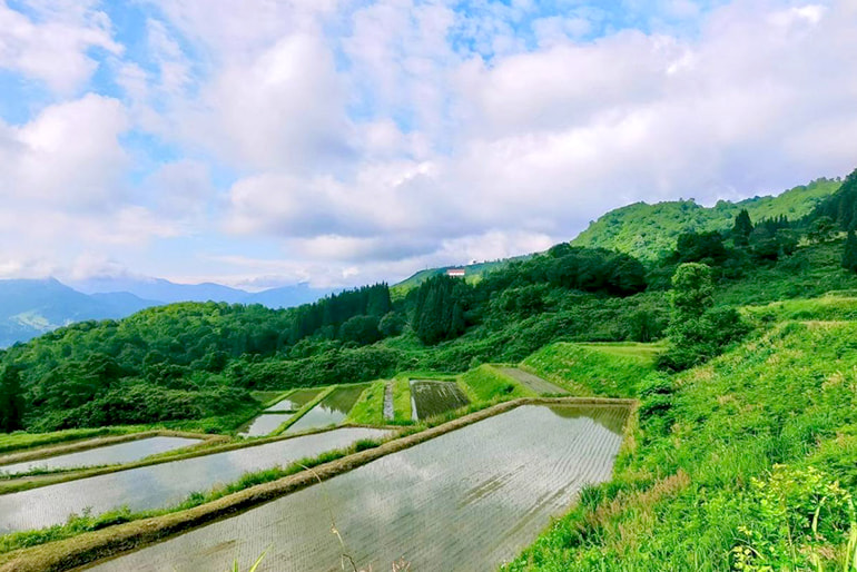 栃窪日熊農園