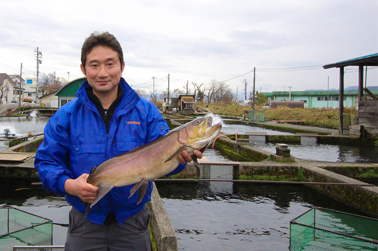 魚沼 高野養魚場