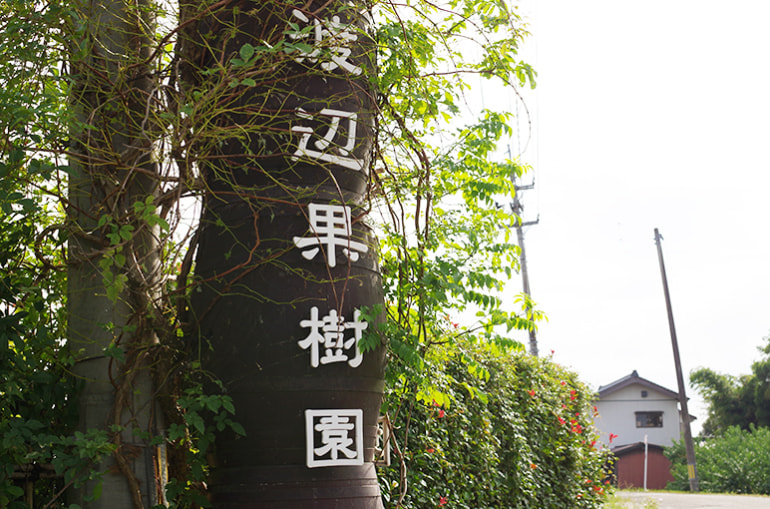 Nature Farm 渡辺果樹園