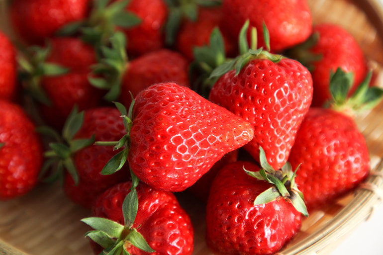 新潟産 越後姫 – 池田観光果樹園