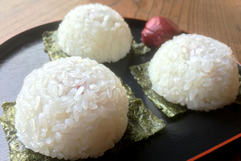 令和7年度米 新潟産 植酸栽培コシヒカリ「伝ゴールド」 – かやもり農園