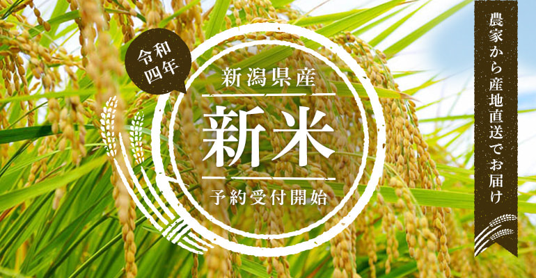 今年もこの季節が来ました!新米の予約スタートです!